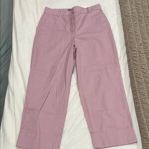 Ann Taylor Women's Pink Pants